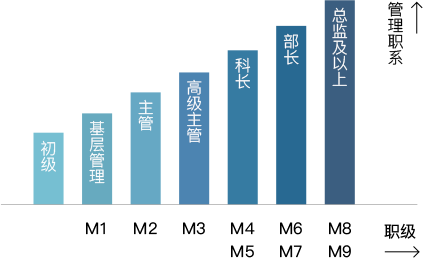 管理职位晋升体系